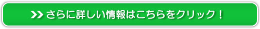 `yz̔TCg